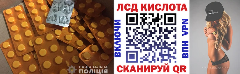 дарк нет состав  Заволжск  ЛСД экстази кислота 